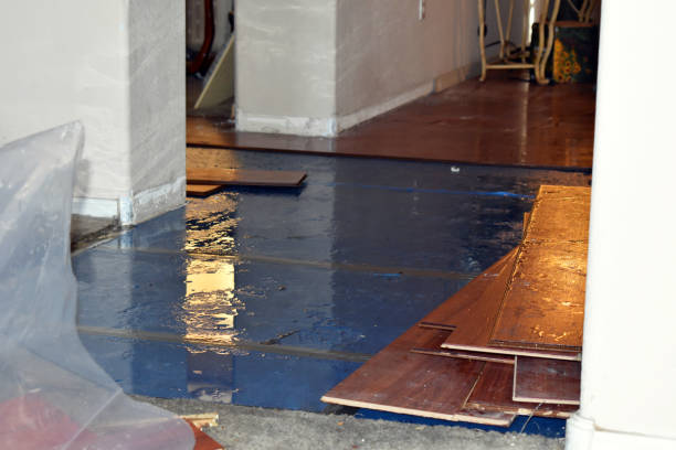 Professional Burst Pipe Cleanup technician working in Groveland, ID
