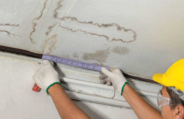 Reliable Burst Pipe Cleanup contractor in Groveland, ID by Water Damage Irwin